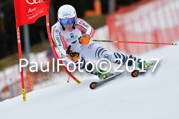 Int. Deutsche Meisterschaft RS Damen + Teambewerb