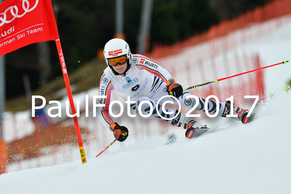 Int. Deutsche Meisterschaft RS Damen + Teambewerb