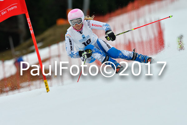 Int. Deutsche Meisterschaft RS Damen + Teambewerb