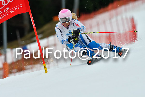 Int. Deutsche Meisterschaft RS Damen + Teambewerb