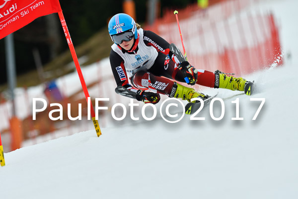 Int. Deutsche Meisterschaft RS Damen + Teambewerb