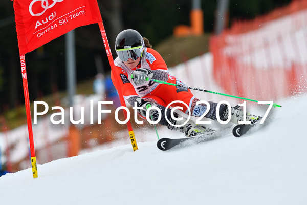 Int. Deutsche Meisterschaft RS Damen + Teambewerb