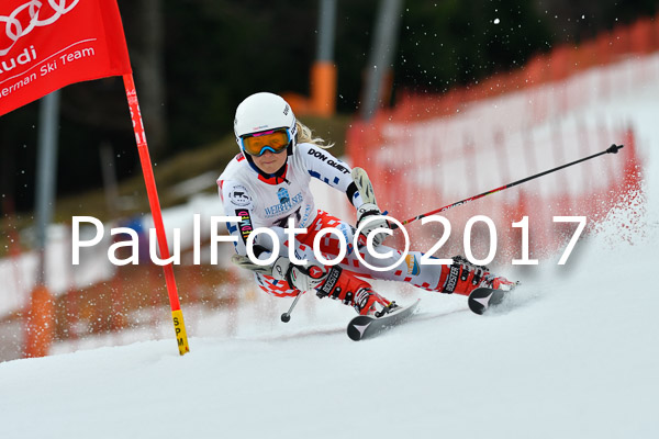 Int. Deutsche Meisterschaft RS Damen + Teambewerb