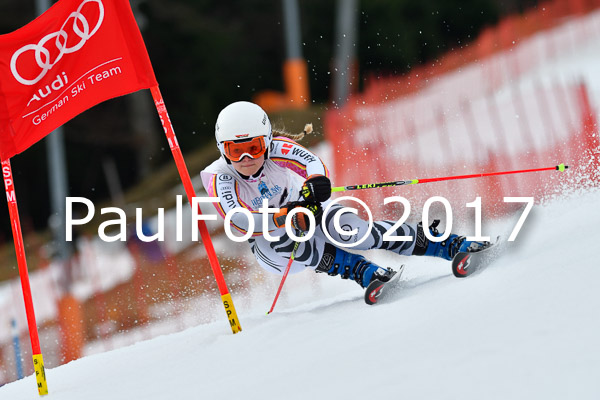 Int. Deutsche Meisterschaft RS Damen + Teambewerb