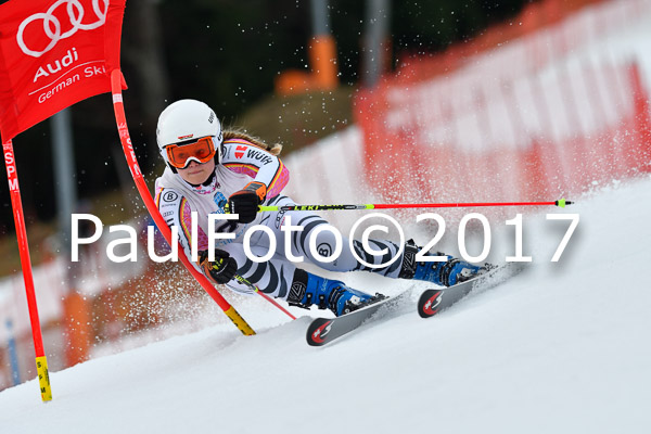 Int. Deutsche Meisterschaft RS Damen + Teambewerb