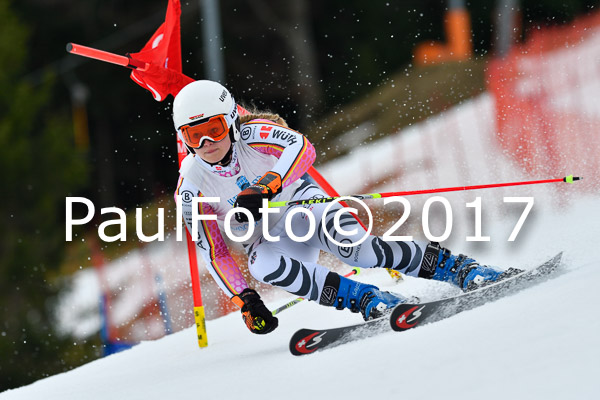 Int. Deutsche Meisterschaft RS Damen + Teambewerb