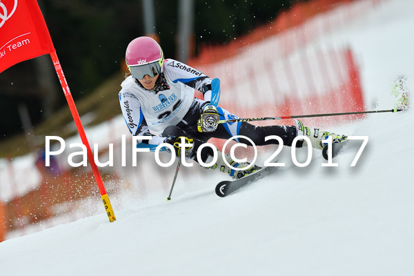 Int. Deutsche Meisterschaft RS Damen + Teambewerb