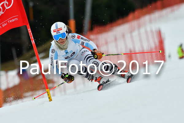 Int. Deutsche Meisterschaft RS Damen + Teambewerb