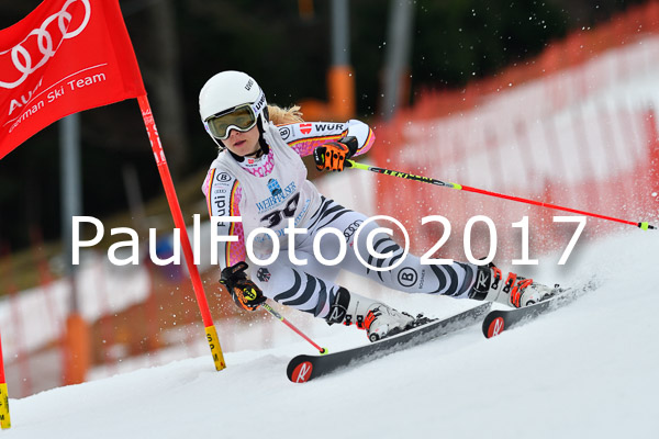 Int. Deutsche Meisterschaft RS Damen + Teambewerb