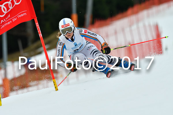 Int. Deutsche Meisterschaft RS Damen + Teambewerb