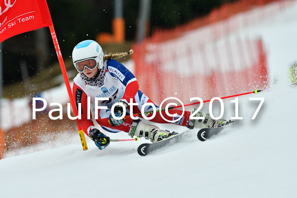 Int. Deutsche Meisterschaft RS Damen + Teambewerb