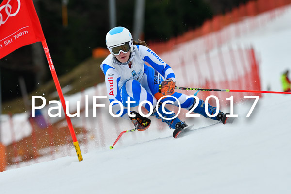 Int. Deutsche Meisterschaft RS Damen + Teambewerb