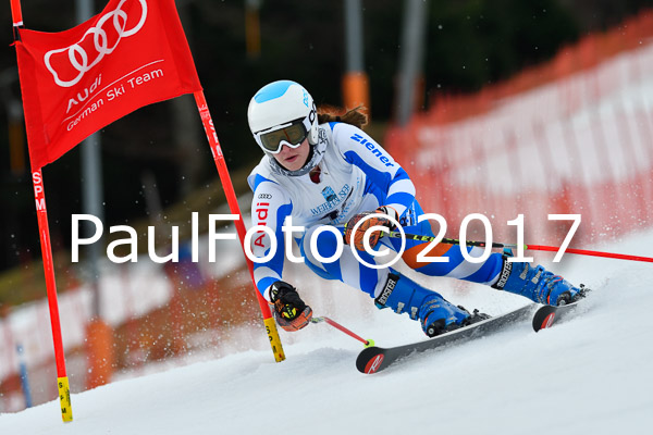 Int. Deutsche Meisterschaft RS Damen + Teambewerb