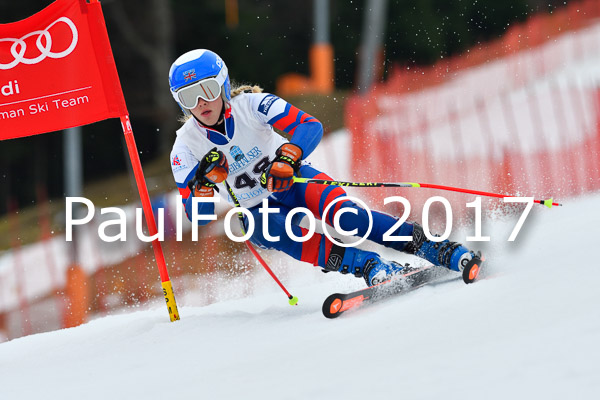 Int. Deutsche Meisterschaft RS Damen + Teambewerb