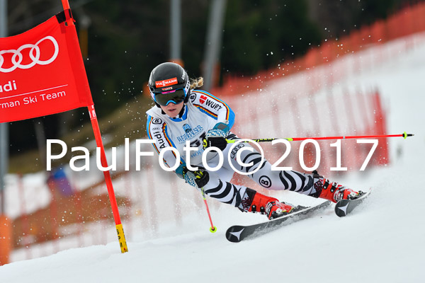 Int. Deutsche Meisterschaft RS Damen + Teambewerb