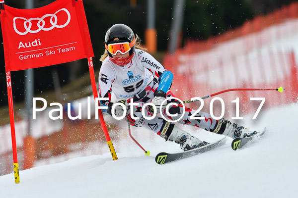Int. Deutsche Meisterschaft RS Damen + Teambewerb