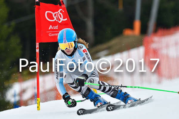 Int. Deutsche Meisterschaft RS Damen + Teambewerb