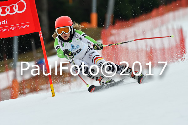 Int. Deutsche Meisterschaft RS Damen + Teambewerb