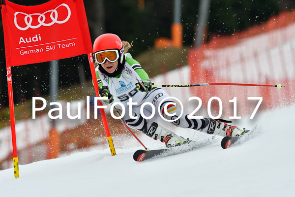 Int. Deutsche Meisterschaft RS Damen + Teambewerb