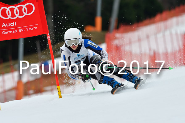 Int. Deutsche Meisterschaft RS Damen + Teambewerb