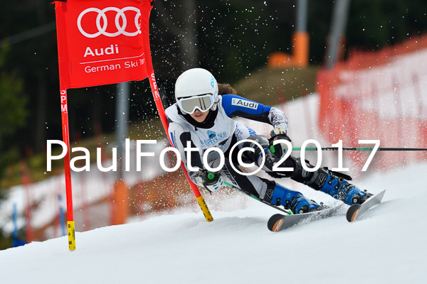 Int. Deutsche Meisterschaft RS Damen + Teambewerb