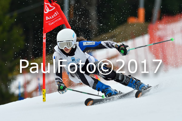 Int. Deutsche Meisterschaft RS Damen + Teambewerb