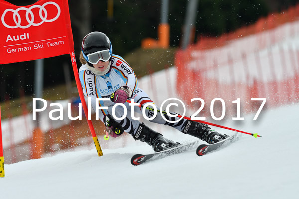 Int. Deutsche Meisterschaft RS Damen + Teambewerb