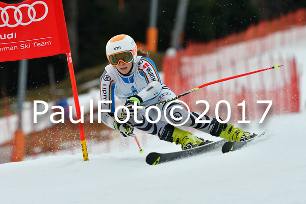 Int. Deutsche Meisterschaft RS Damen + Teambewerb