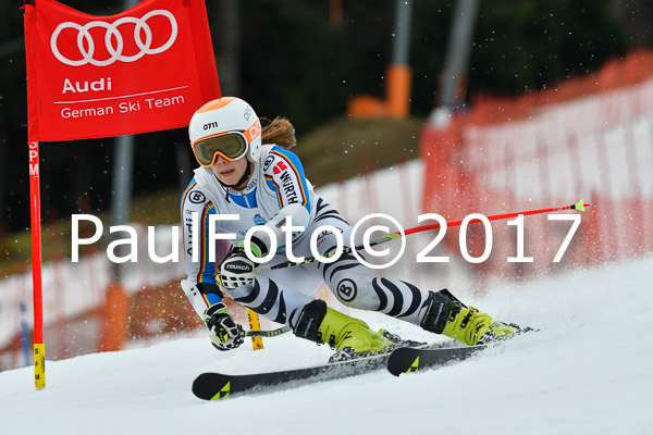 Int. Deutsche Meisterschaft RS Damen + Teambewerb