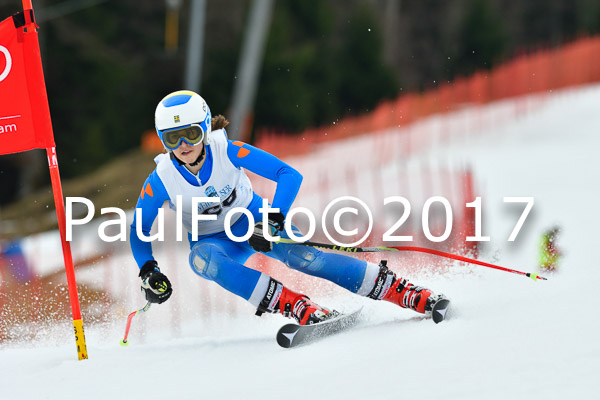 Int. Deutsche Meisterschaft RS Damen + Teambewerb