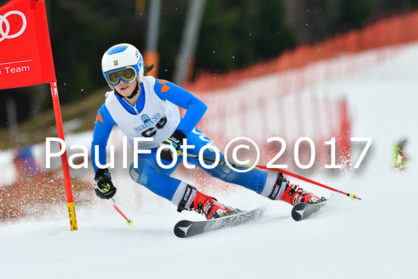 Int. Deutsche Meisterschaft RS Damen + Teambewerb