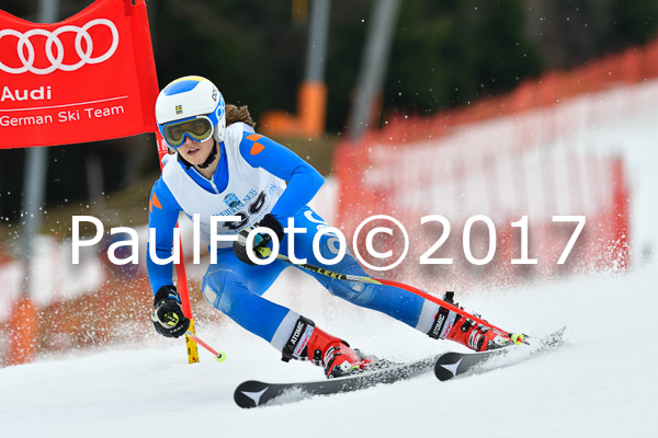 Int. Deutsche Meisterschaft RS Damen + Teambewerb