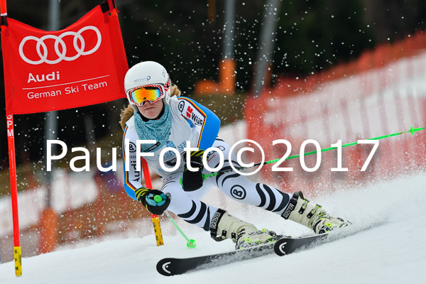 Int. Deutsche Meisterschaft RS Damen + Teambewerb