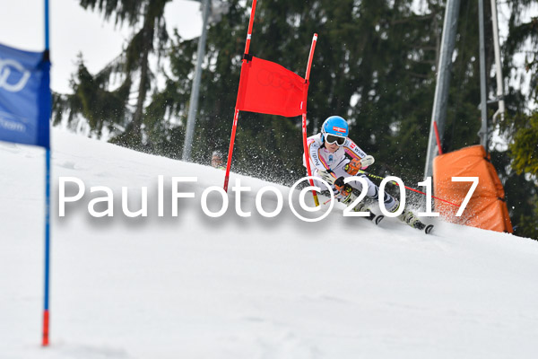 Int. Deutsche Meisterschaft RS Damen + Teambewerb