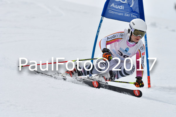 Int. Deutsche Meisterschaft RS Damen + Teambewerb