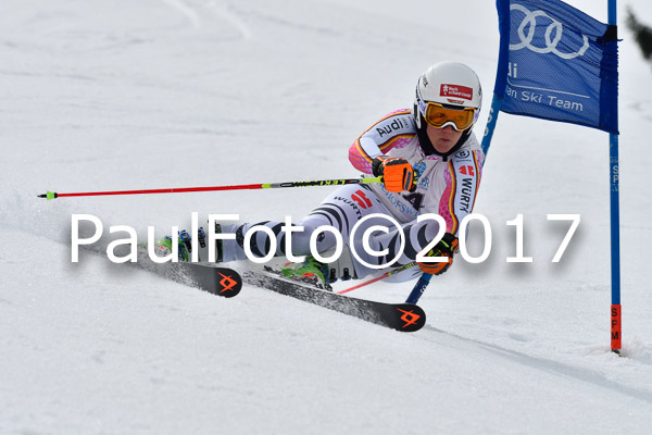 Int. Deutsche Meisterschaft RS Damen + Teambewerb