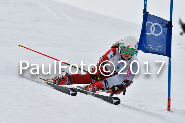 Int. Deutsche Meisterschaft RS Damen + Teambewerb