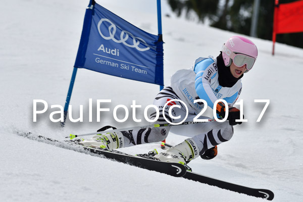 Int. Deutsche Meisterschaft RS Damen + Teambewerb