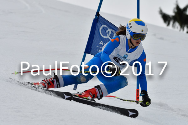 Int. Deutsche Meisterschaft RS Damen + Teambewerb