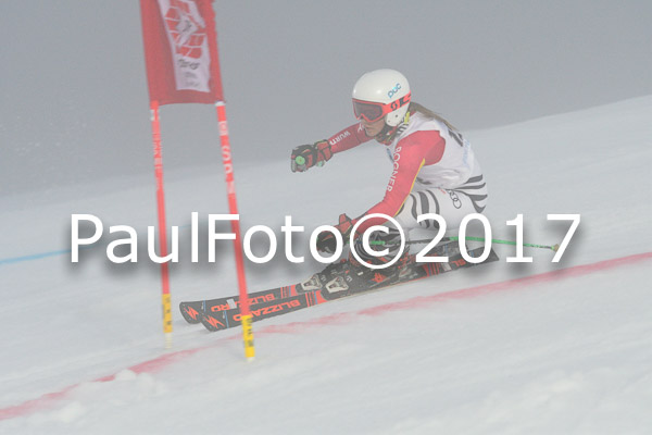 Int. Deutsche Meisterschaft RS Damen + Teambewerb