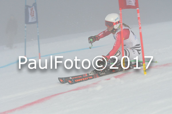 Int. Deutsche Meisterschaft RS Damen + Teambewerb