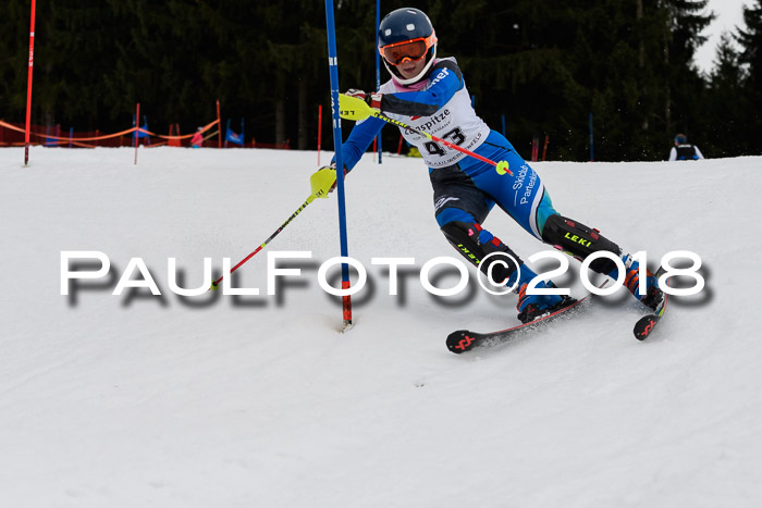 2. BZB CUP SL 2018