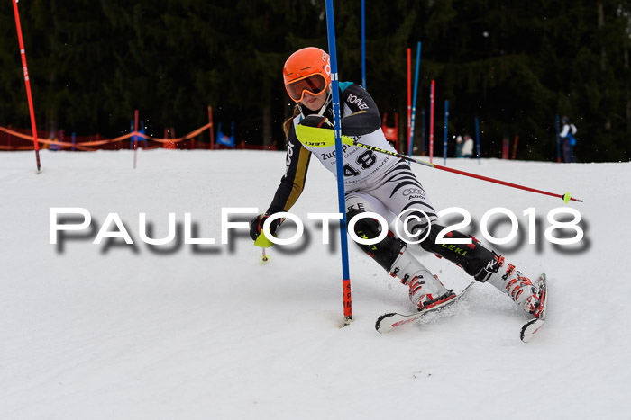 2. BZB CUP SL 2018