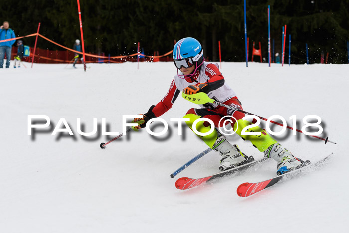 2. BZB CUP SL 2018