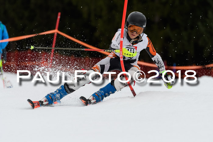 2. BZB CUP SL 2018