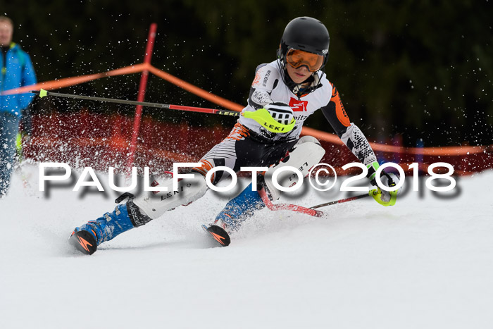2. BZB CUP SL 2018