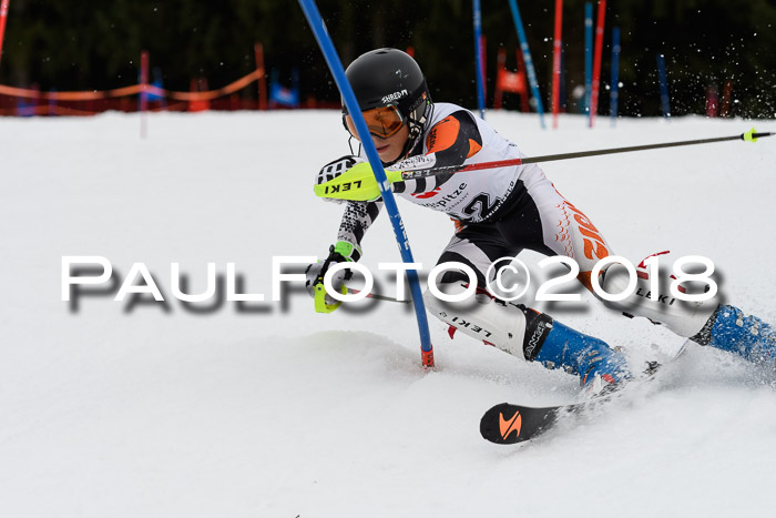 2. BZB CUP SL 2018