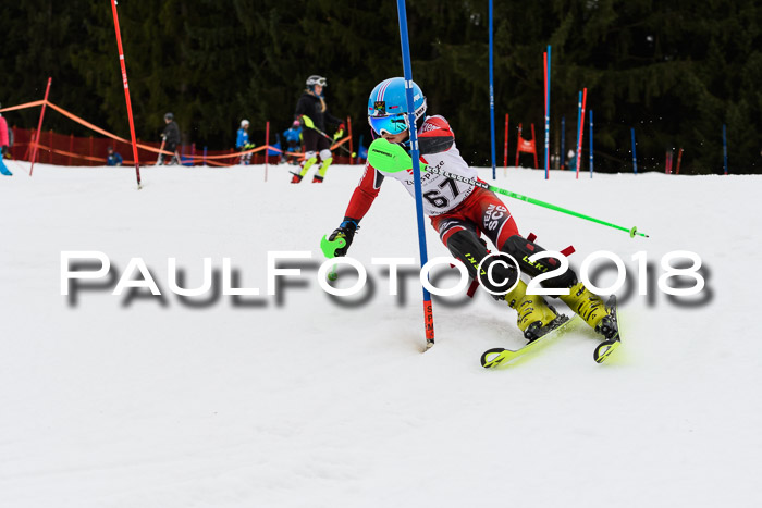 2. BZB CUP SL 2018