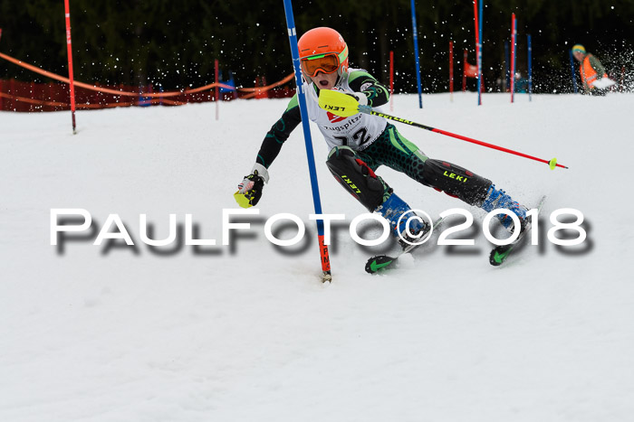2. BZB CUP SL 2018