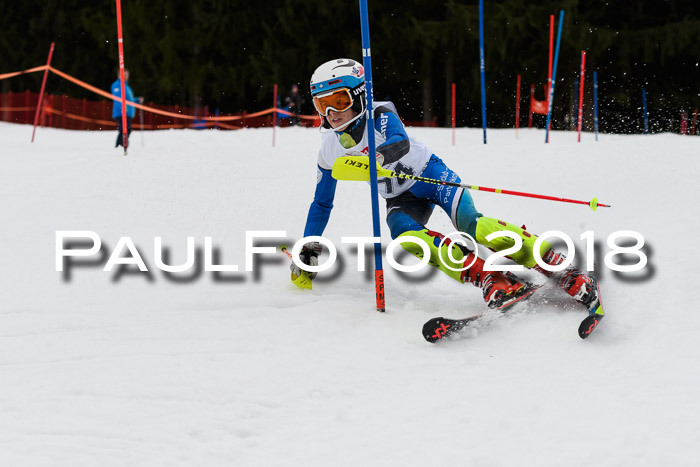 2. BZB CUP SL 2018